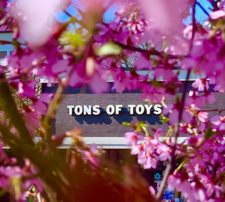 Tons of Toys (Bernardsville,&nbspNJ)